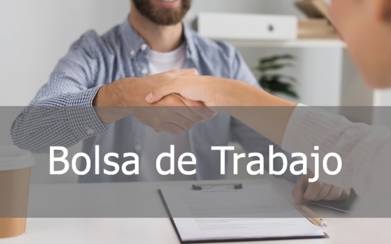 banner-bolsaempleo.jpg_2050223472